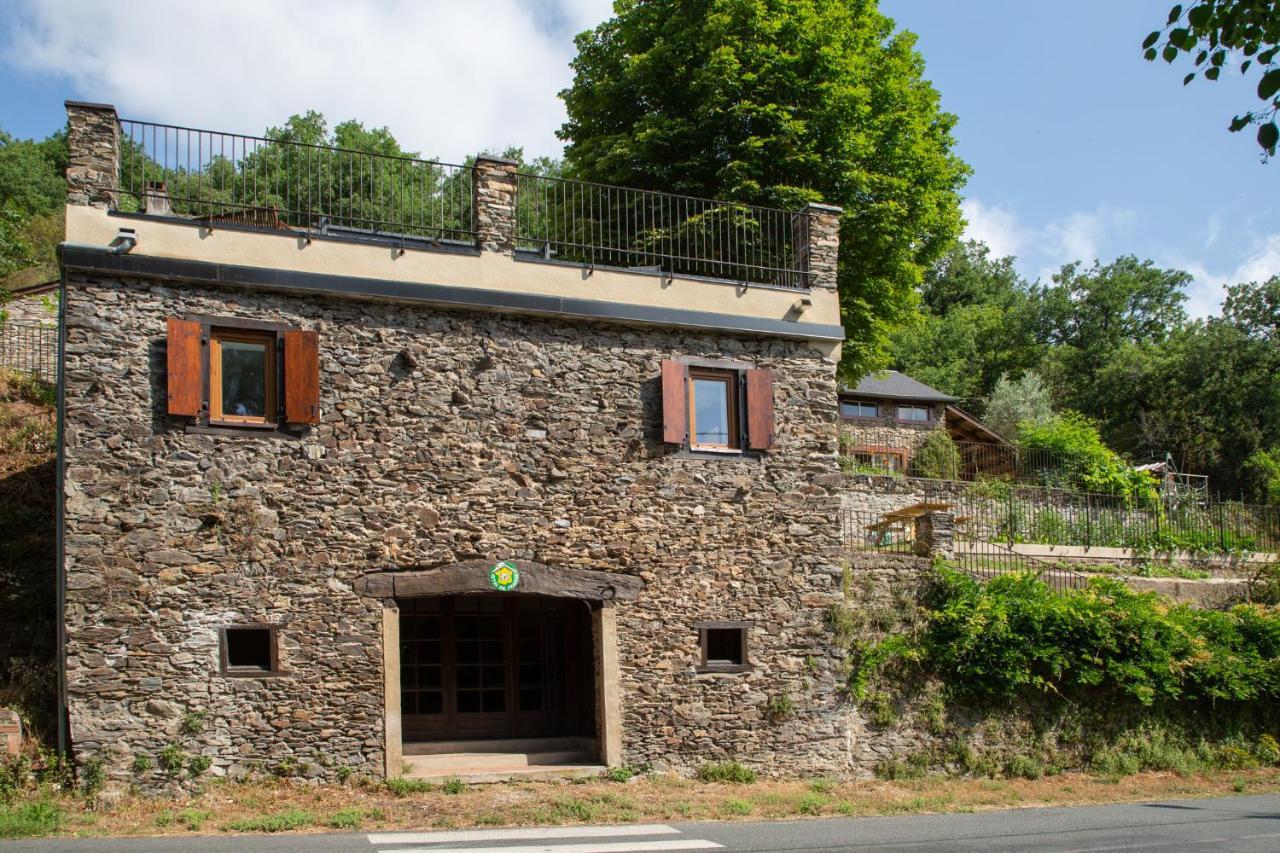 Appartement - Gite De La Moulinquie Saint-Cirgue Exterior photo